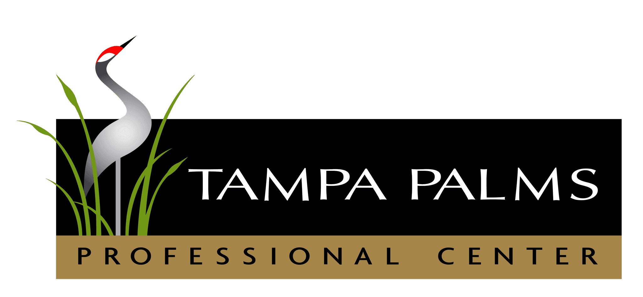 Tampa Palms Professional Center Logo